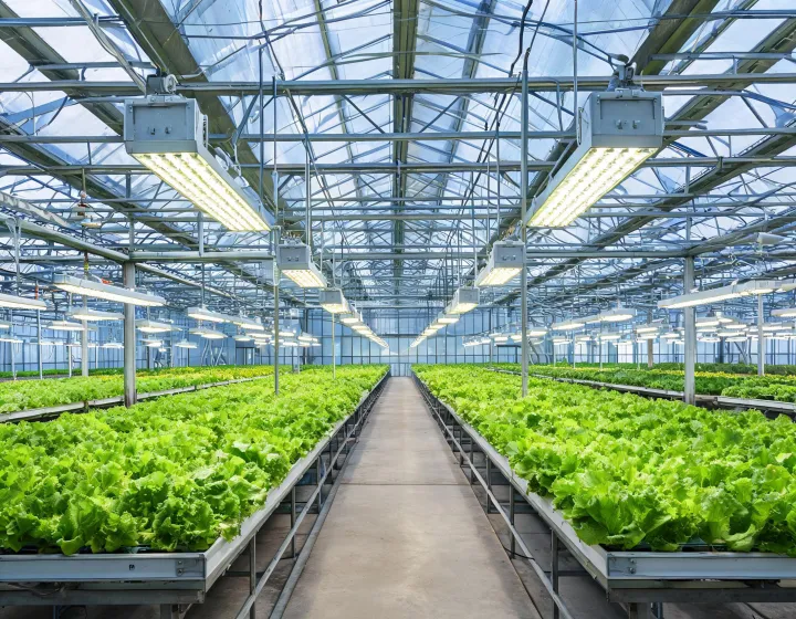 Professional LED grow light family